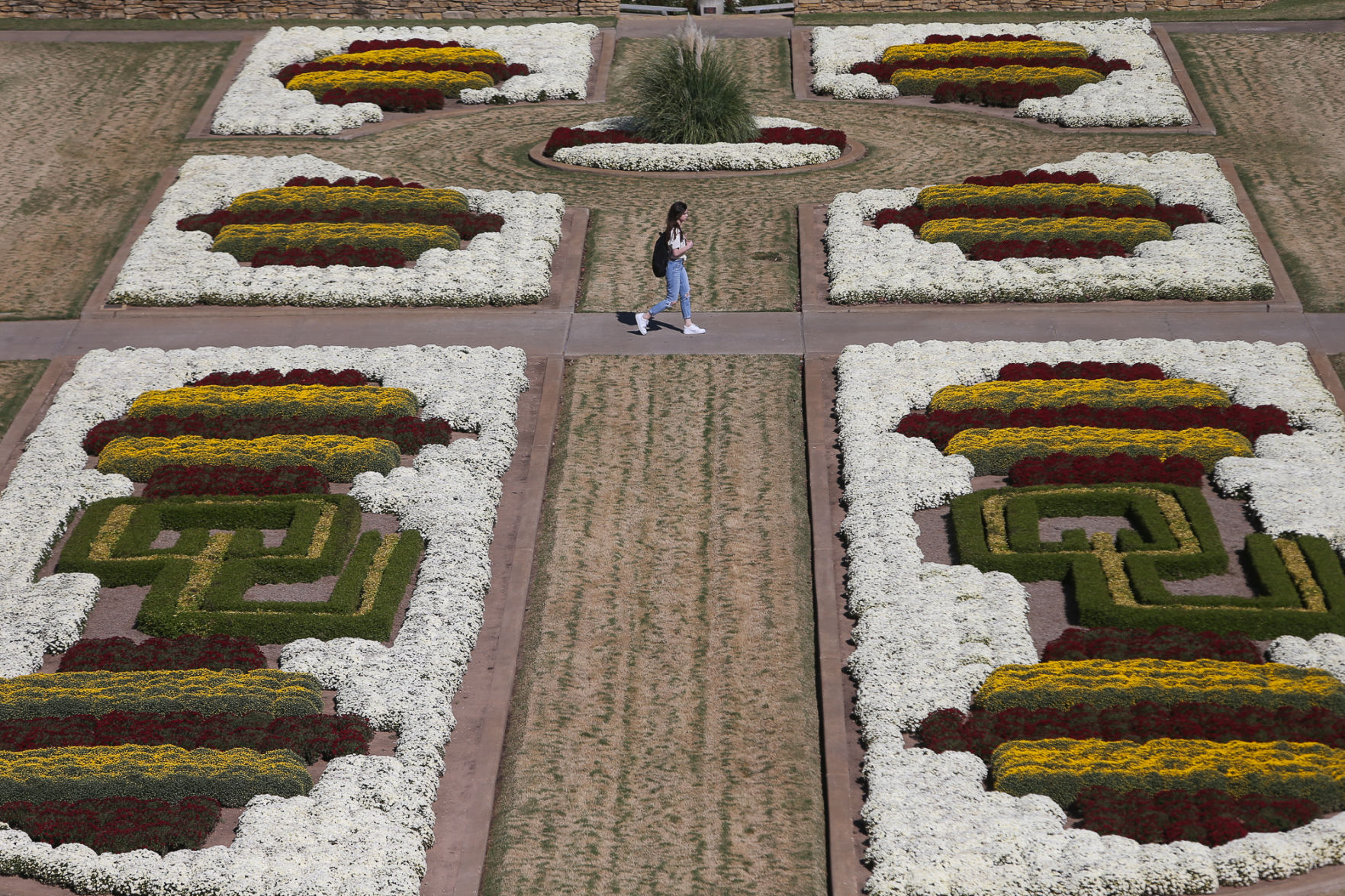 South Oval Mums